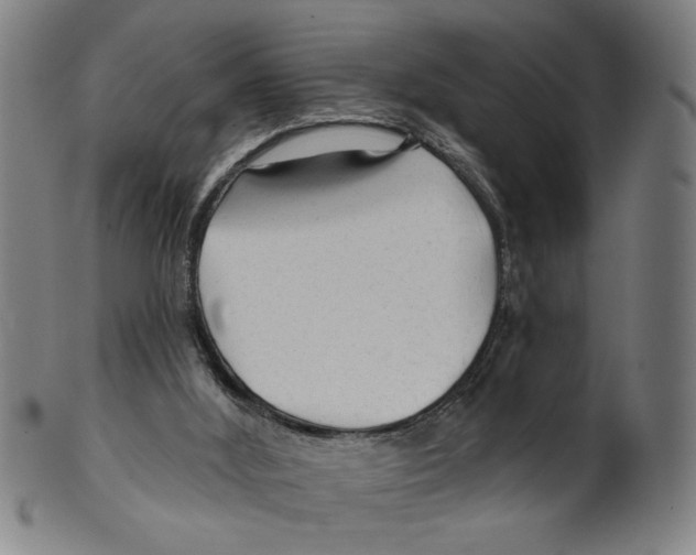 X0000099420012200806061006
