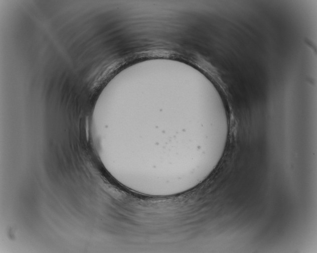 X0000099420013200806061006
