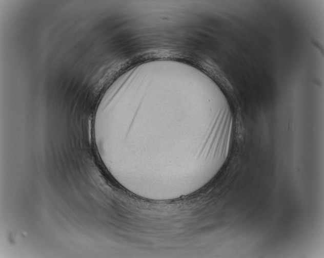 X0000099420014200806061006
