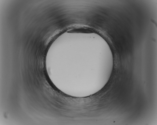 X0000099420015200806061006