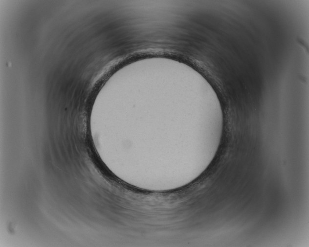 X0000099420016200806061006