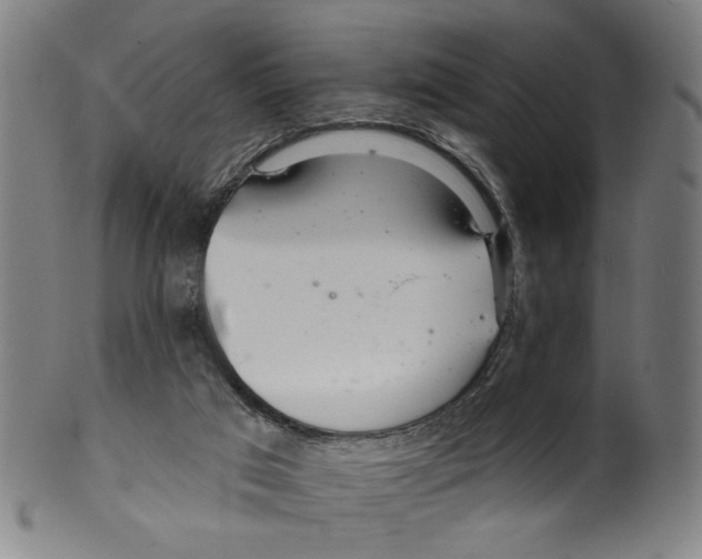 X0000099420017200806061006
