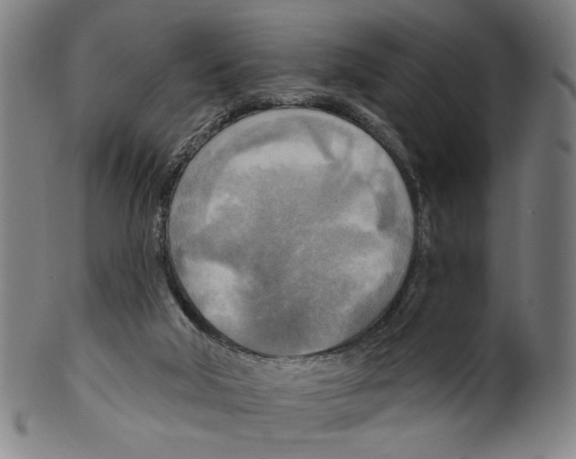 X0000099420018200806061006