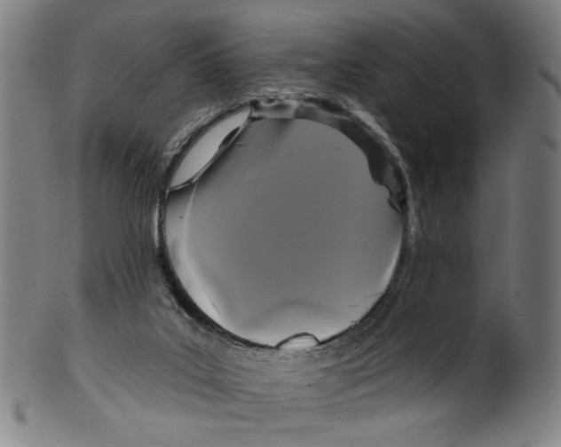 X0000099420019200806061006