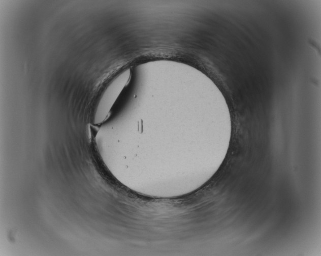 X0000099420020200806061006