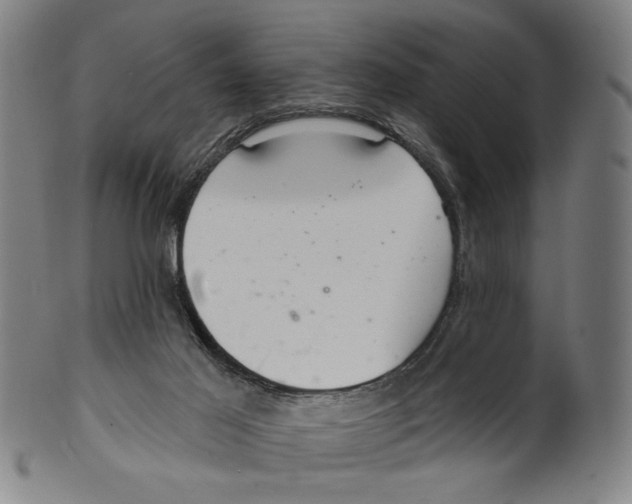 X0000099420021200806061006