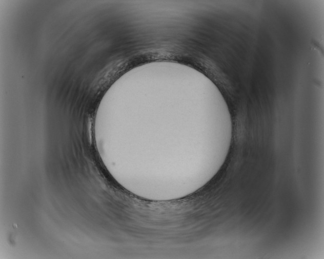X0000099420022200806061006