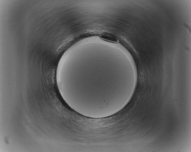 X0000099420023200806061006
