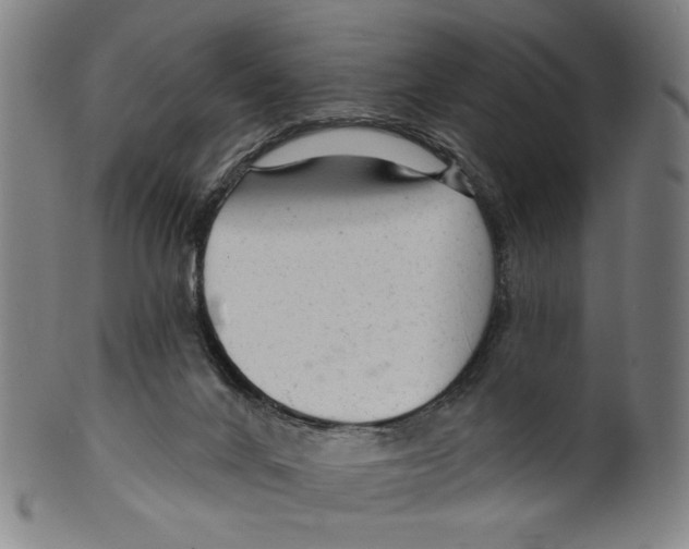 X0000099420024200806061006