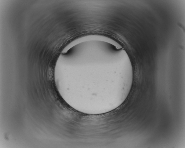 X0000099420025200806061006