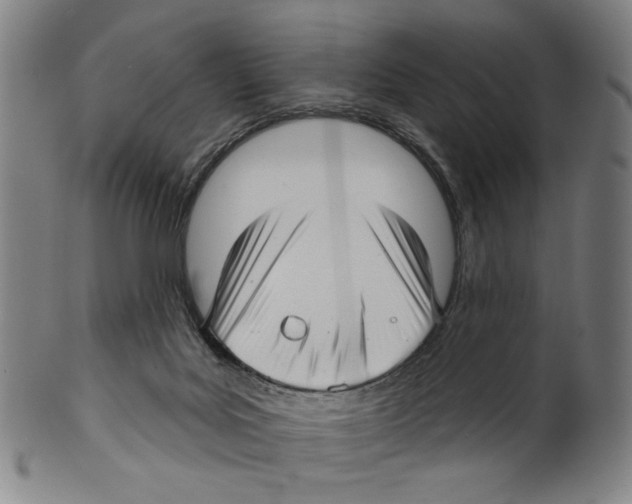 X0000099420027200806061005