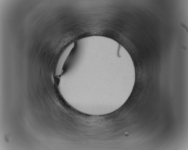 X0000099420028200806061005