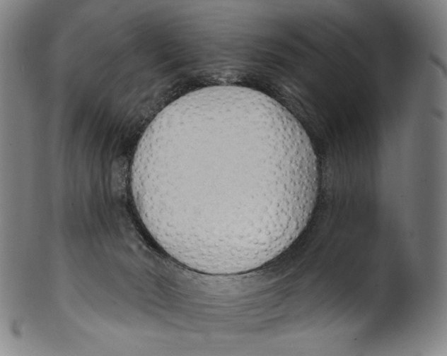 X0000099420030200806061005