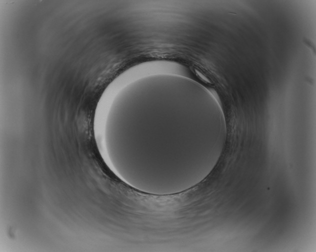 X0000099420031200806061005
