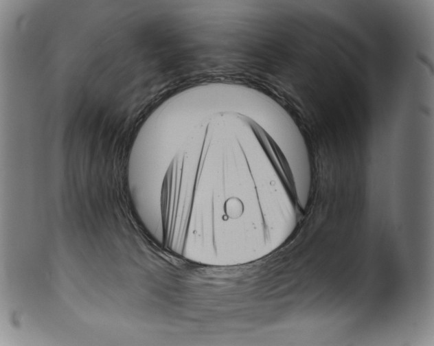 X0000099420033200806061005