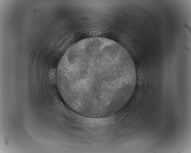 X0000099420034200806061005
