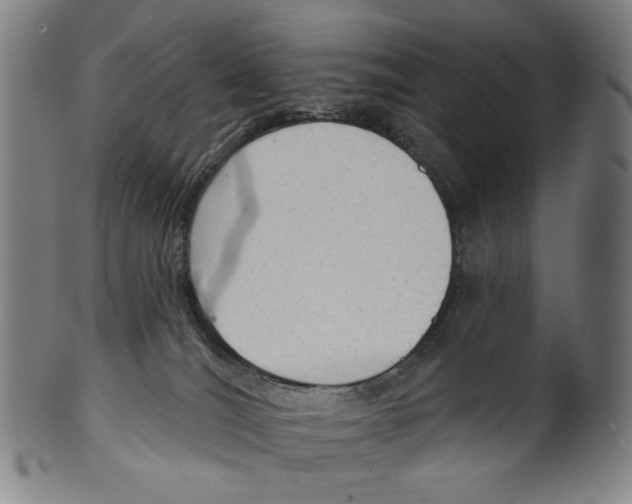 X0000099420036200806061005