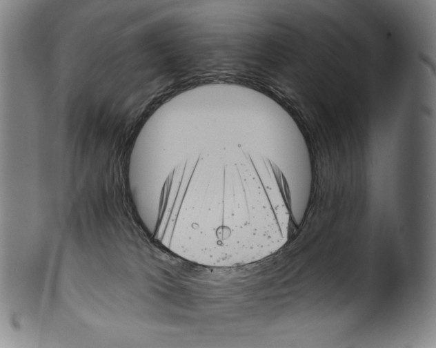 X0000099420037200806061005