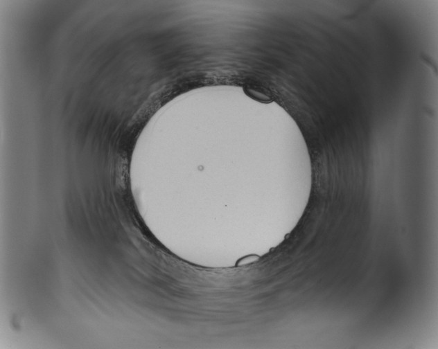 X0000099420038200806061005