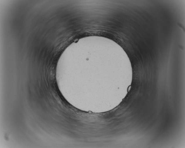 X0000099420040200806061005
