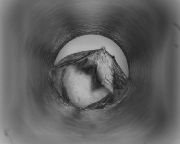 X0000099420041200806061005