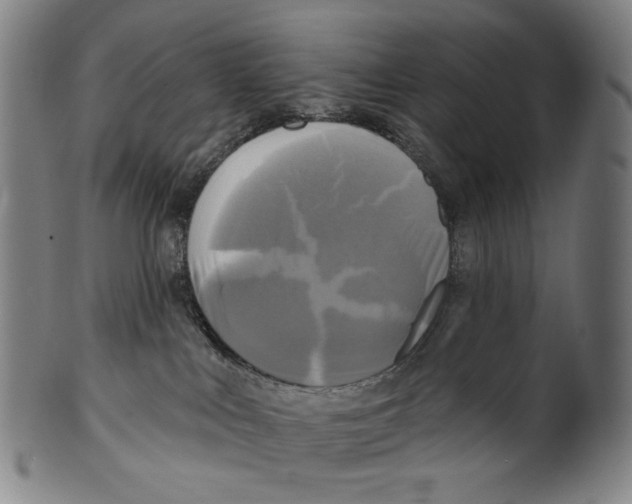 X0000099420043200806061005