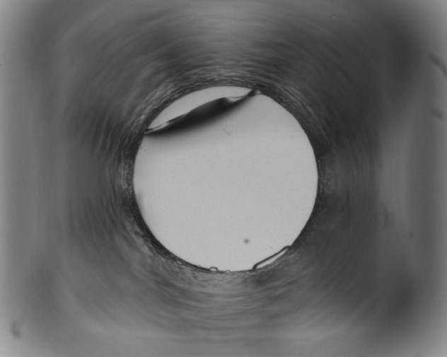 X0000099420044200806061005