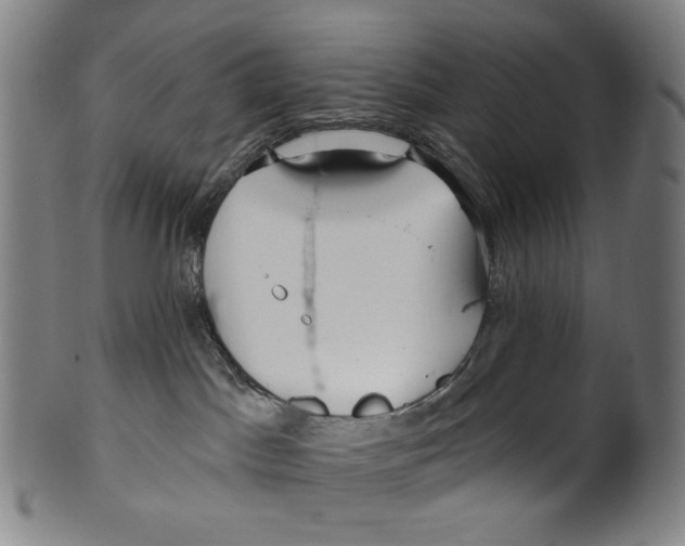 X0000099420045200806061005