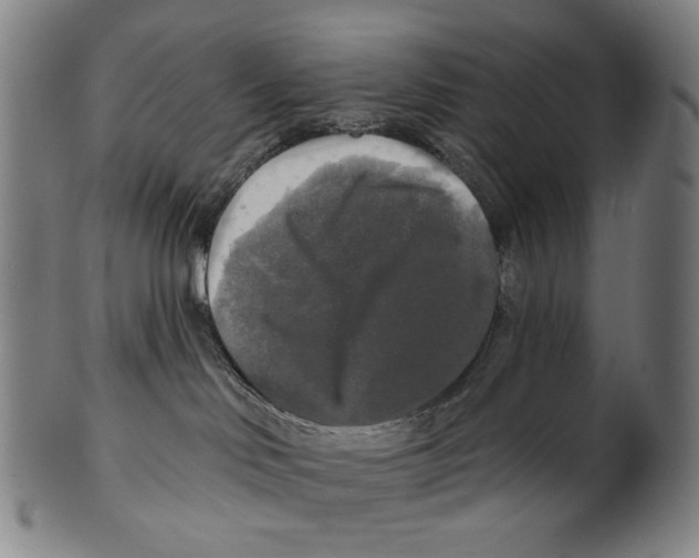 X0000099420046200806061005
