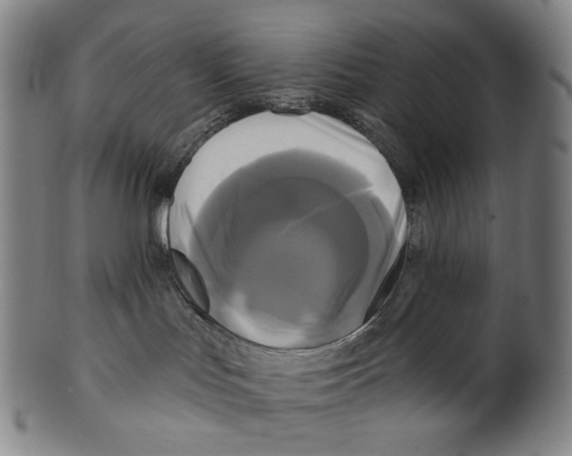 X0000099420047200806061005