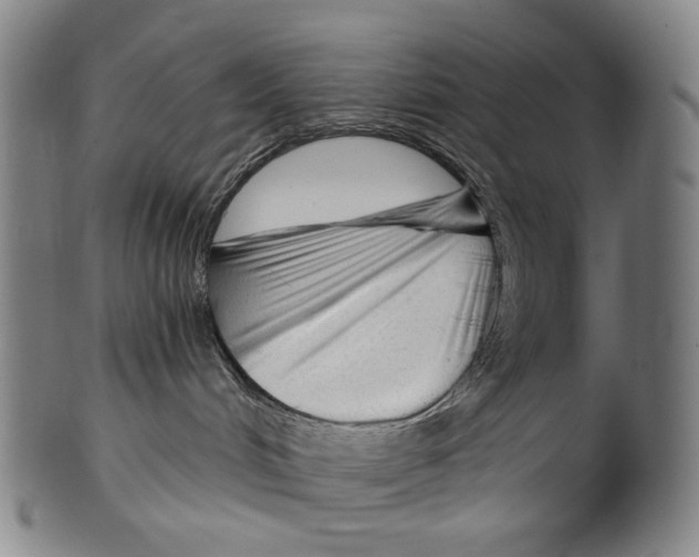 X0000099420048200806061005