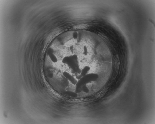 X0000099420049200806061004