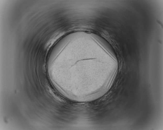 X0000099420050200806061005