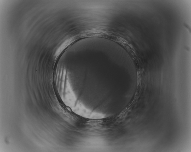 X0000099420051200806061005
