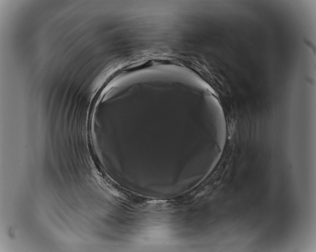 X0000099420052200806061005