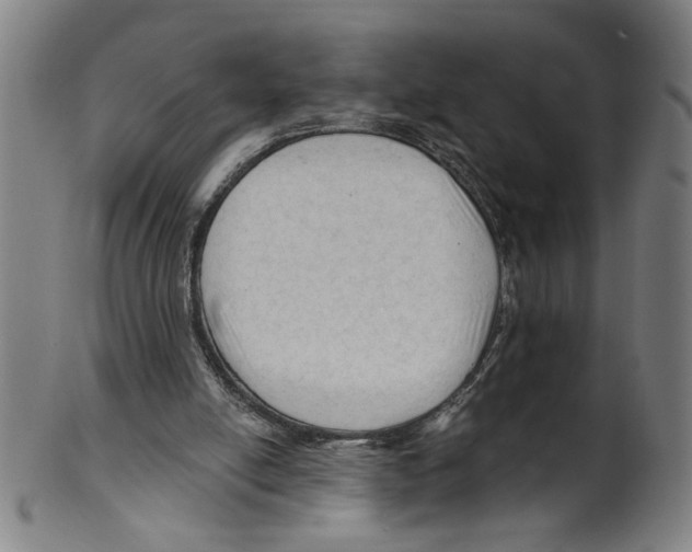 X0000099420054200806061005