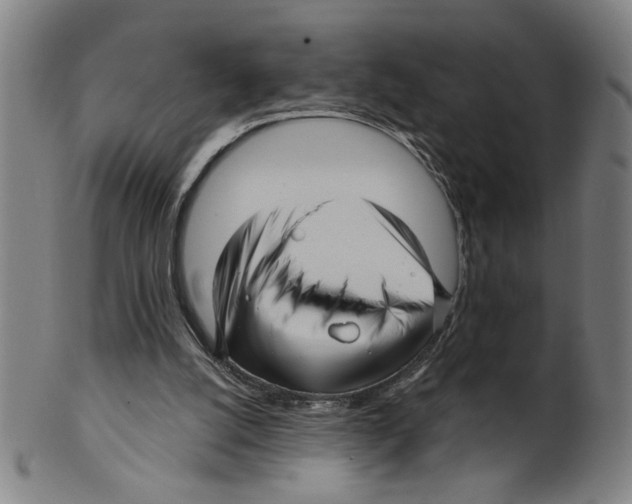 X0000099420056200806061005