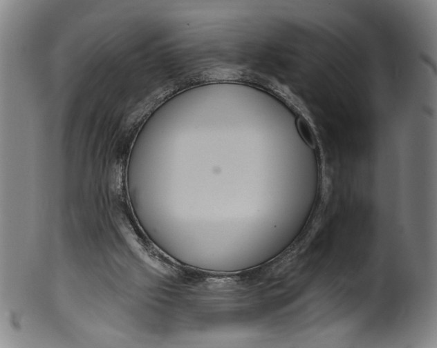 X0000099420057200806061005