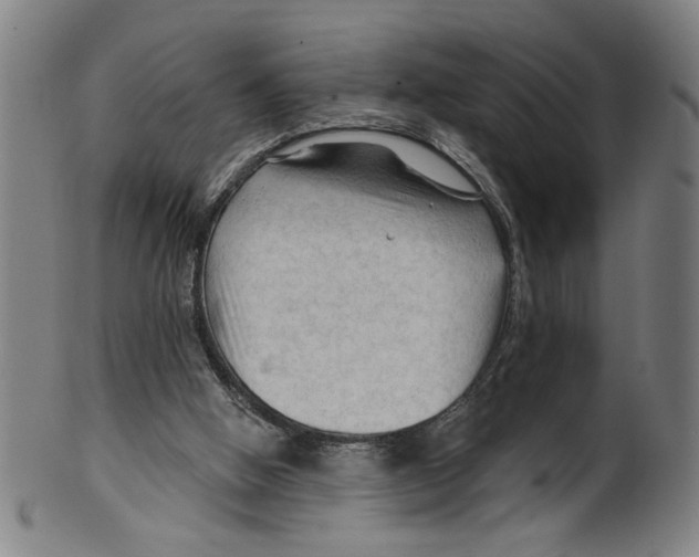 X0000099420058200806061005
