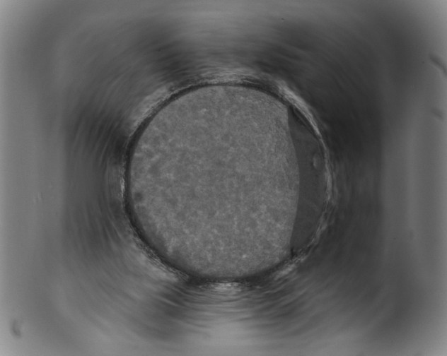 X0000099420059200806061005