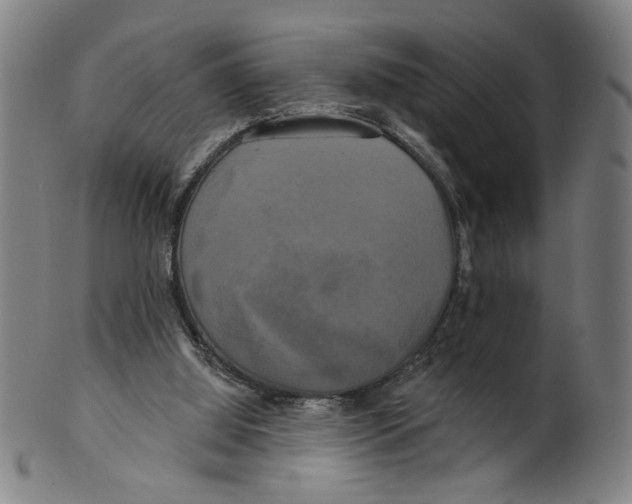 X0000099420060200806061005