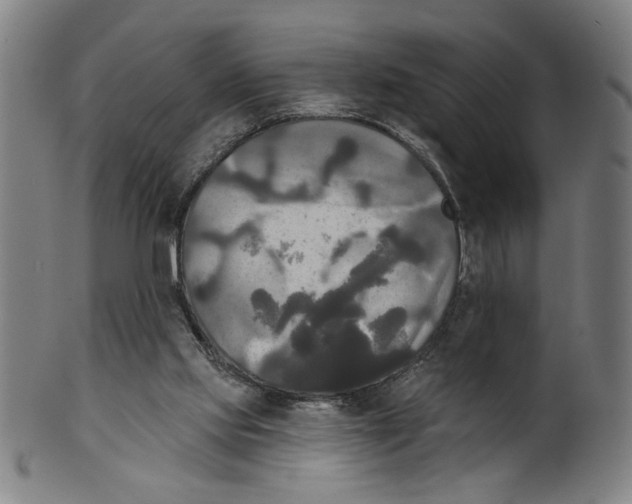 X0000099420061200806061005