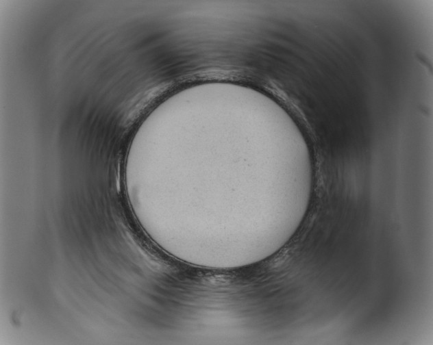 X0000099420062200806061005