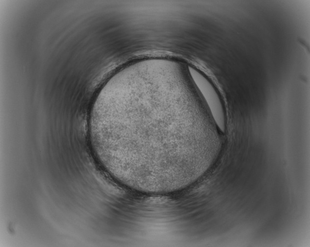 X0000099420063200806061005