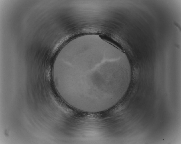 X0000099420064200806061005