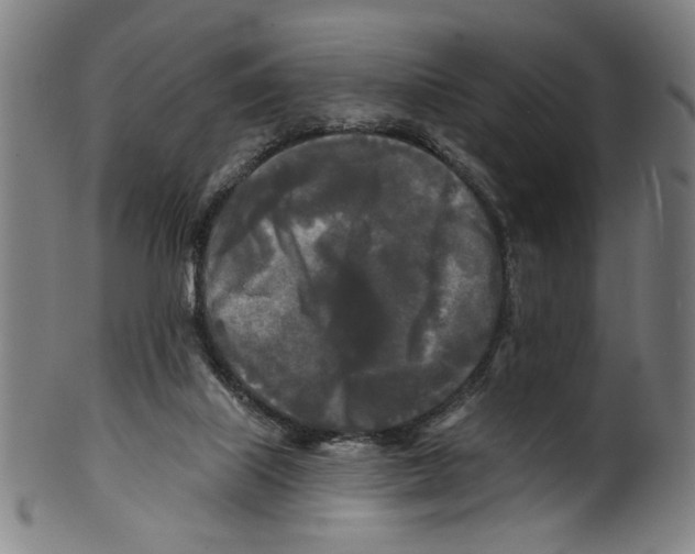 X0000099420067200806061005