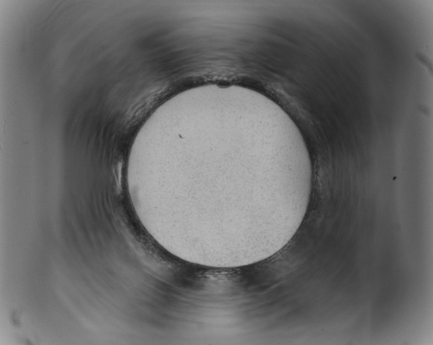 X0000099420070200806061005