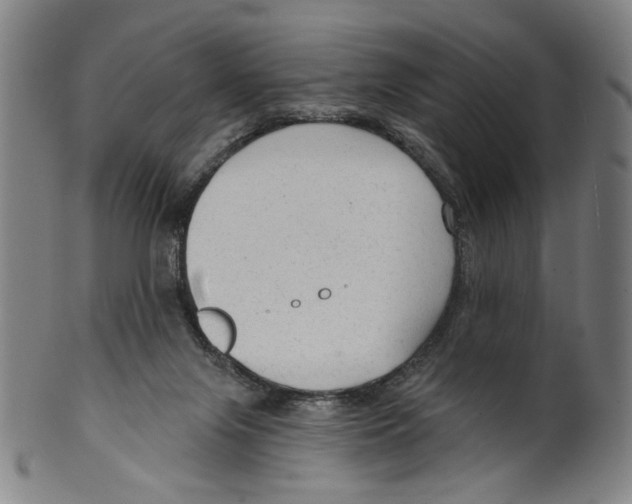 X0000099420071200806061005