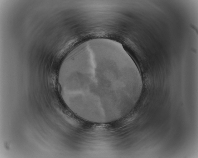 X0000099420072200806061005