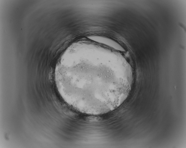 X0000099420073200806061005